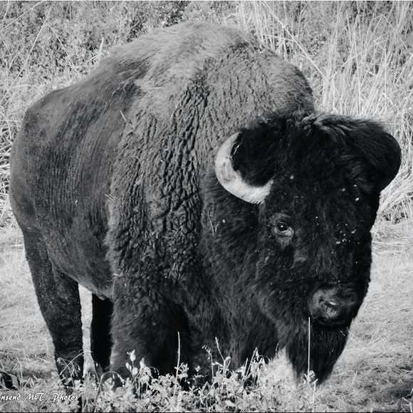 Hi 👋 I’m Zakk - Picture 1 of 1